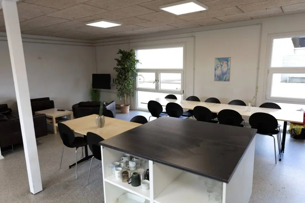 Fælles opholdsrum og køkkenområde med spiseborde, sofaer og service til overnattende gæster